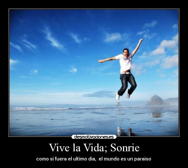 carteles vida vive vida desmotivaciones
