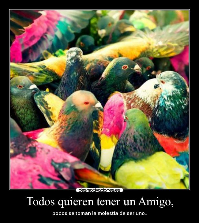 Todos quieren tener un Amigo, - 
