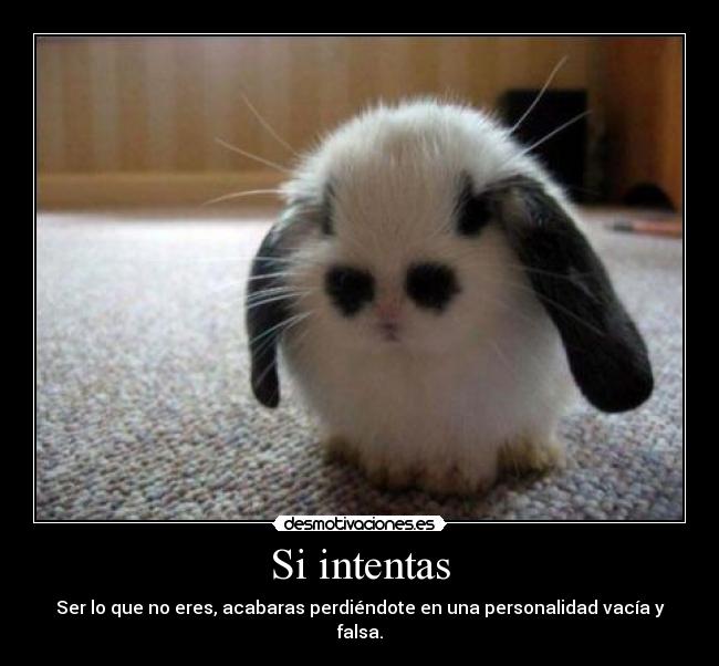 Si intentas - Ser lo que no eres, acabaras perdiéndote en una personalidad vacía y falsa.