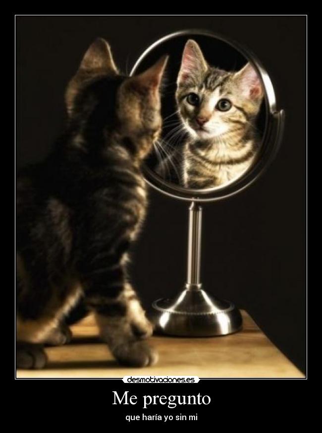 Me pregunto - que haría yo sin mi