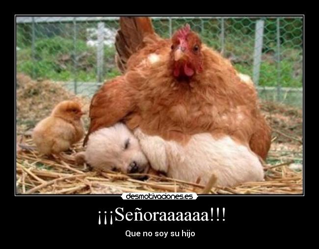 ¡¡¡Señoraaaaaa!!! -