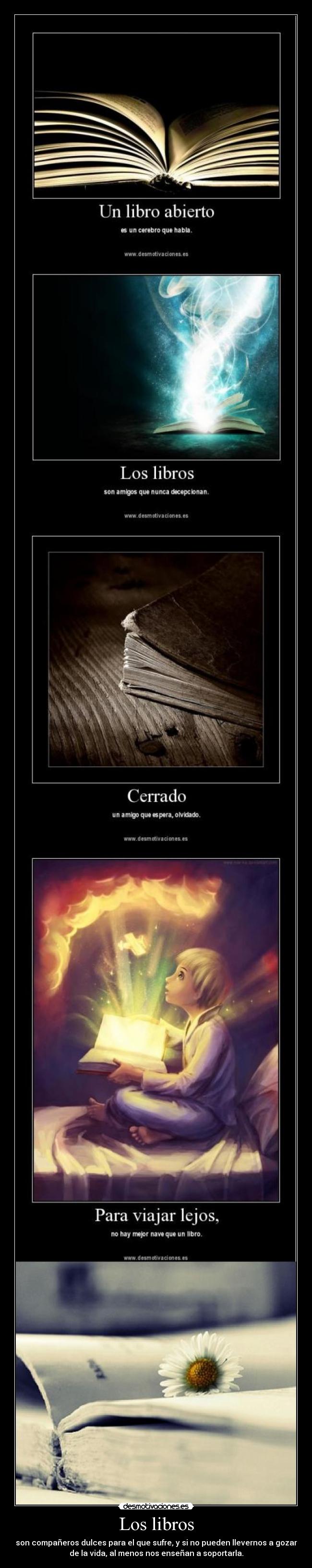 Los libros - 