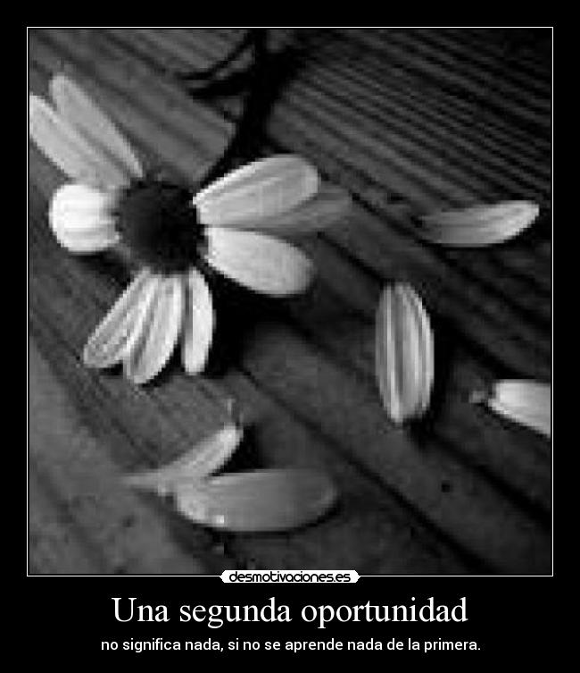 Una segunda oportunidad -