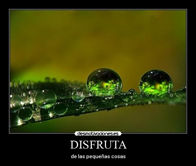 DISFRUTA -