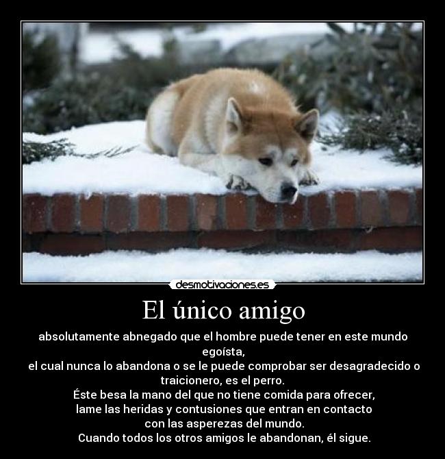 El único amigo -