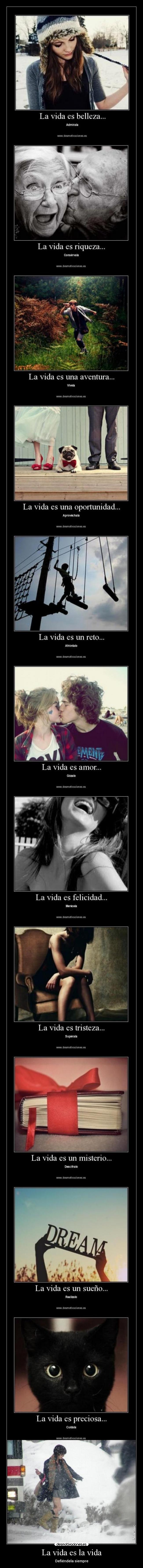 La vida es la vida - 