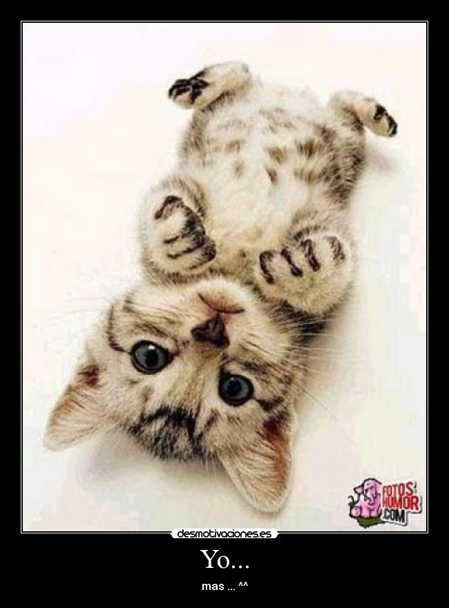 Yo... - mas ... ^^