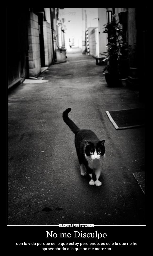 No me Disculpo -