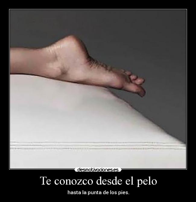Te conozco desde el pelo - hasta la punta de los pies.