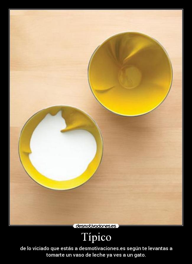 carteles emiliasv16 desmotivaciones