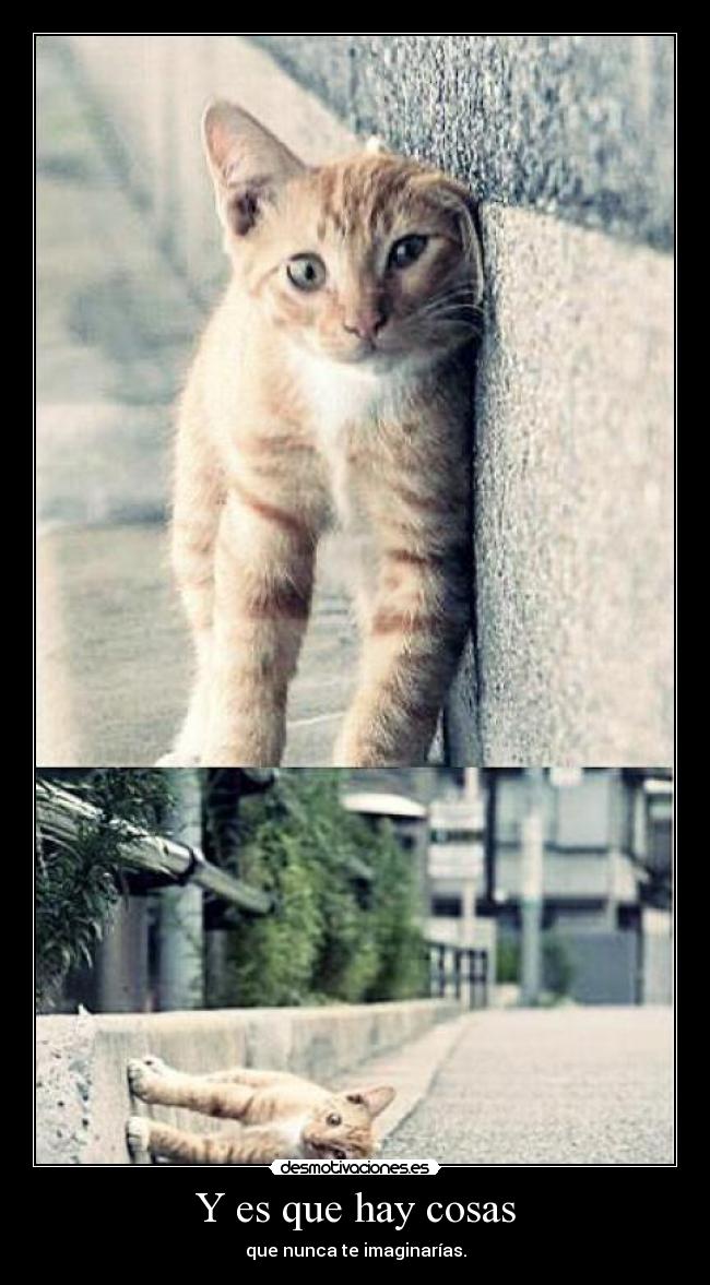 Y es que hay cosas -