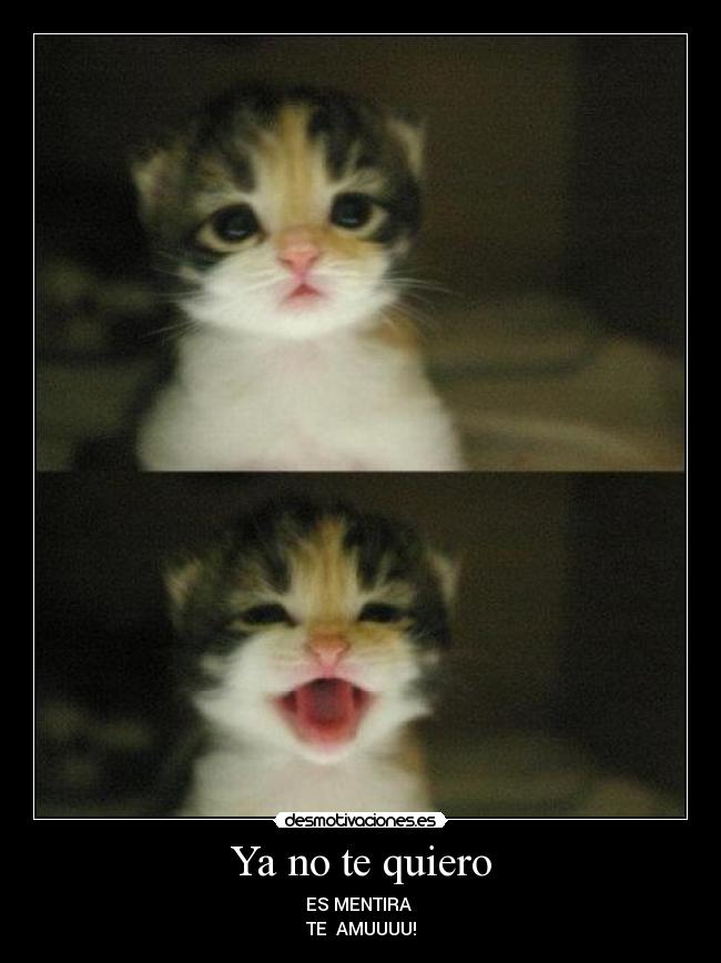 Ya no te quiero - ES MENTIRA
TE AMUUUU!