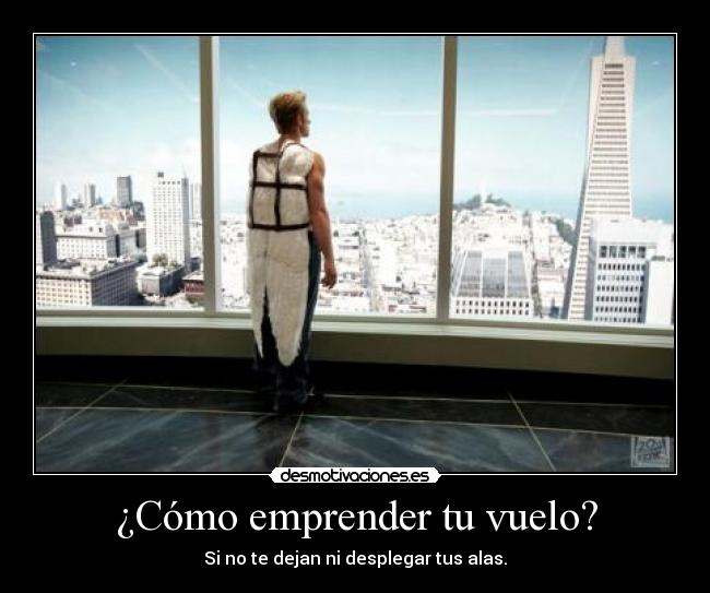 ¿Cómo emprender tu vuelo? - Si no te dejan ni desplegar tus alas.