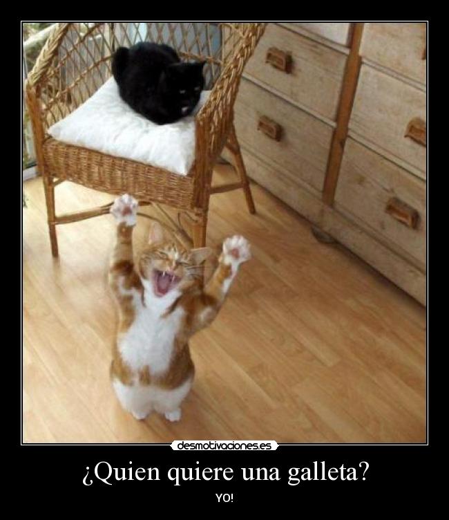 ¿Quien quiere una galleta? -