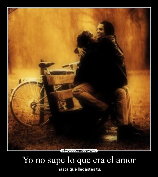 Yo no supe lo que era el amor - hasta que llegastes tú.