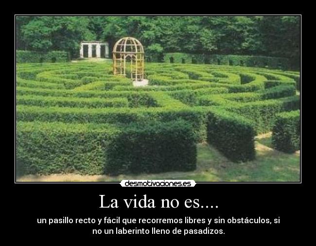 La vida no es.... -