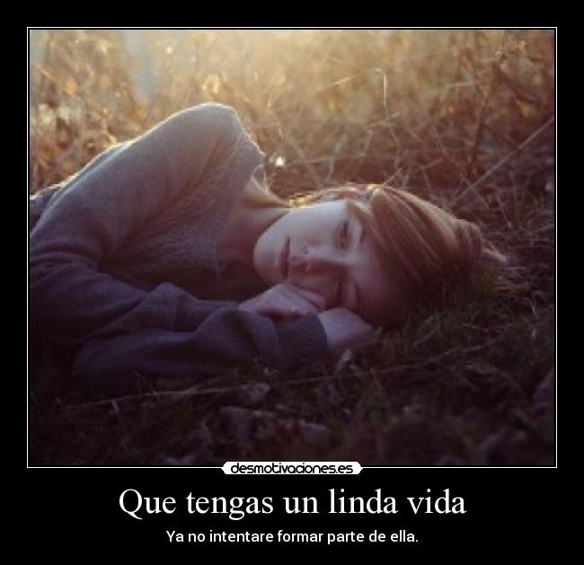 carteles vida sorry cant perfect desmotivaciones