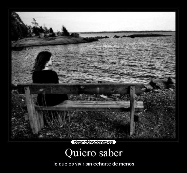 Quiero saber - lo que es vivir sin echarte de menos