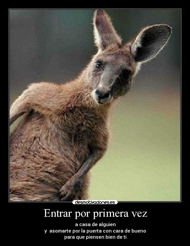 Entrar por primera vez - a casa de alguien
y asomarte por la puerta con cara de bueno
para que piensen bien de ti