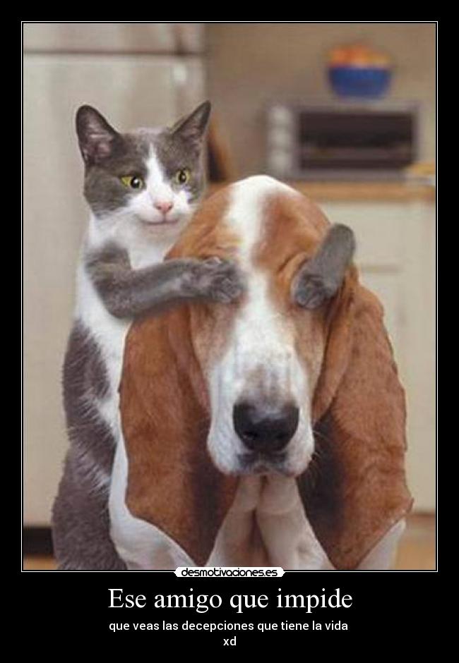 Ese amigo que impide - 
