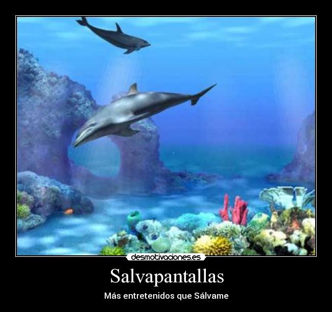 Salvapantallas - Más entretenidos que Sálvame