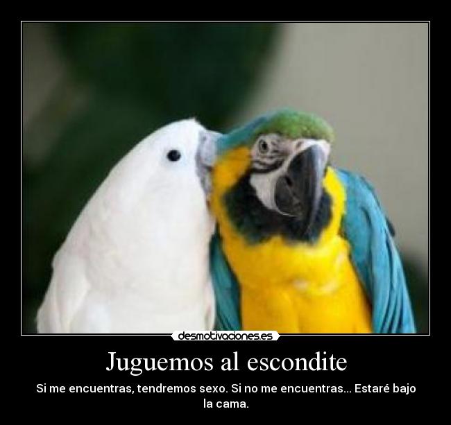 Juguemos al escondite - 