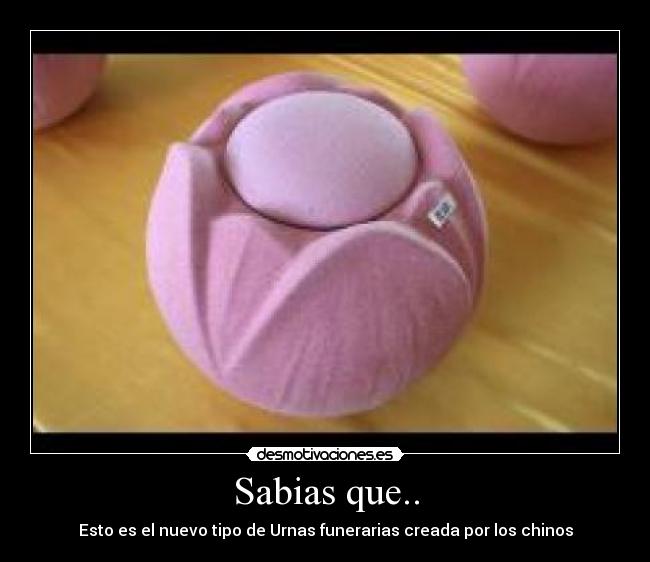 Sabias que.. - 