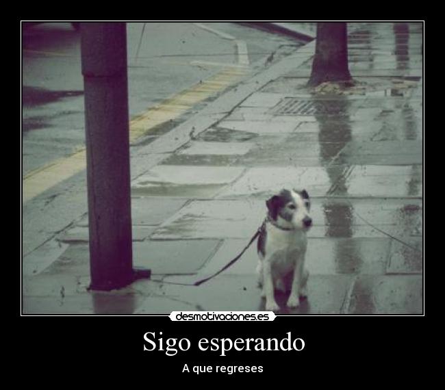 Sigo esperando - A que regreses