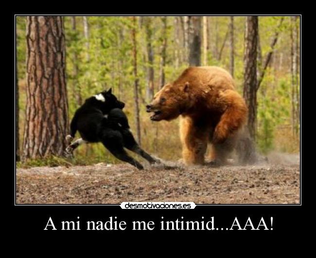 A mi nadie me intimid...AAA! -