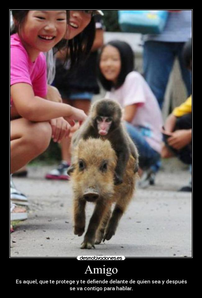 Amigo -