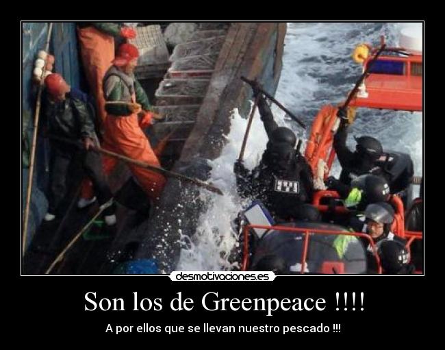 Son los de Greenpeace !!!! - A por ellos que se llevan nuestro pescado !!!