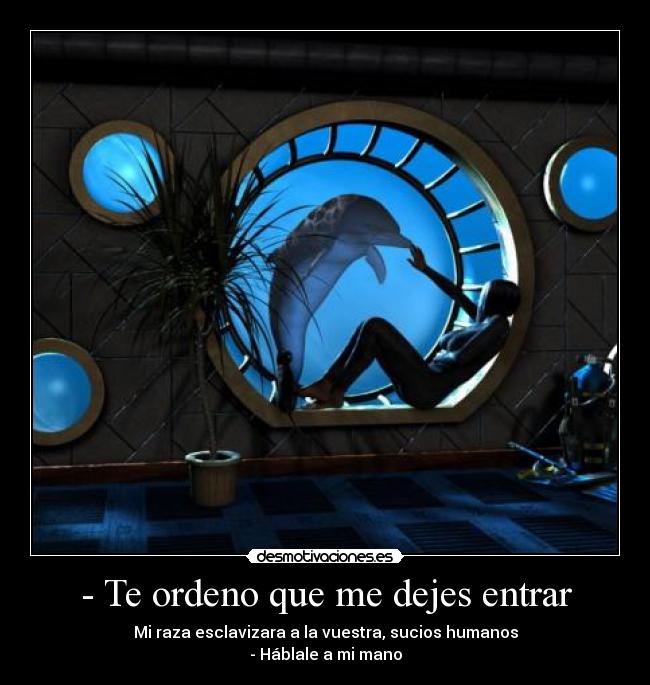 - Te ordeno que me dejes entrar - 