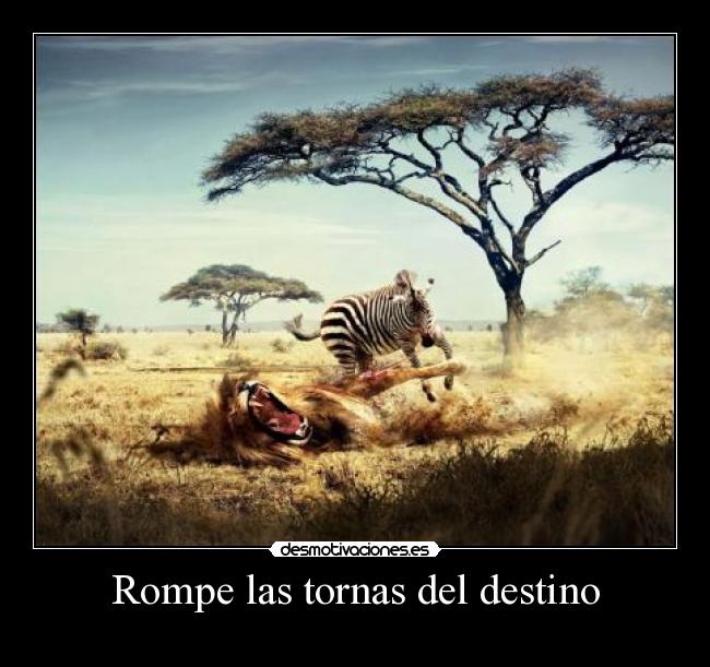 Rompe las tornas del destino - 