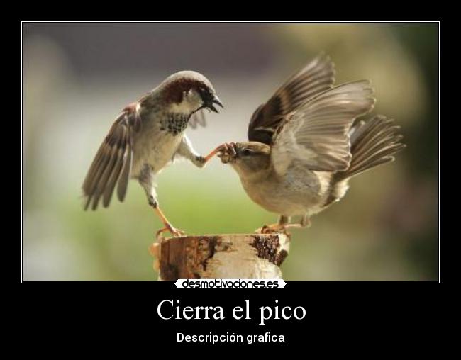 Cierra el pico - Descripción grafica