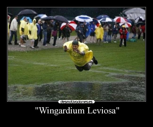 Wingardium Leviosa - 