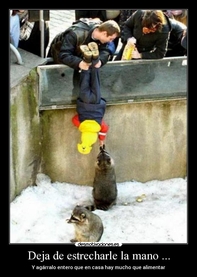 Deja de estrecharle la mano ... -