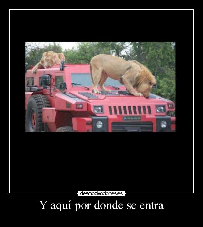 Y aquí por donde se entra -