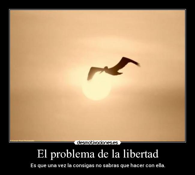 El problema de la libertad - Es que una vez la consigas no sabras que hacer con ella.