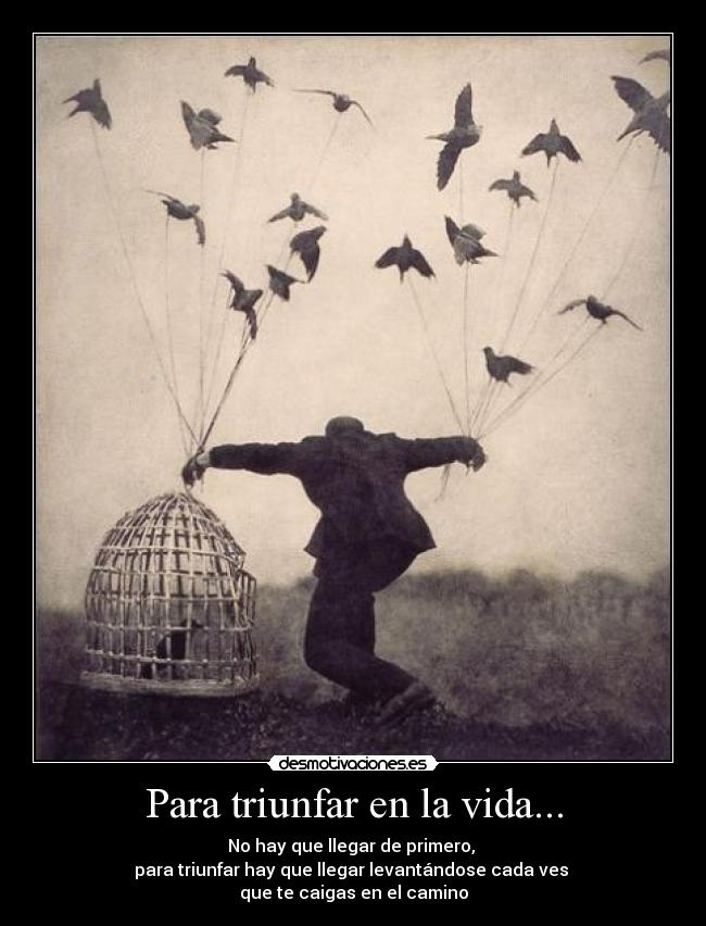 Para triunfar en la vida... - No hay que llegar de primero,
para triunfar hay que llegar levantándose cada ves
que te caigas en el camino