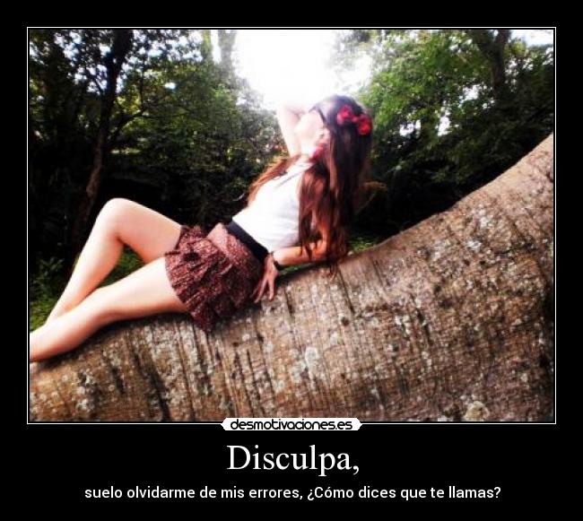 Disculpa, -