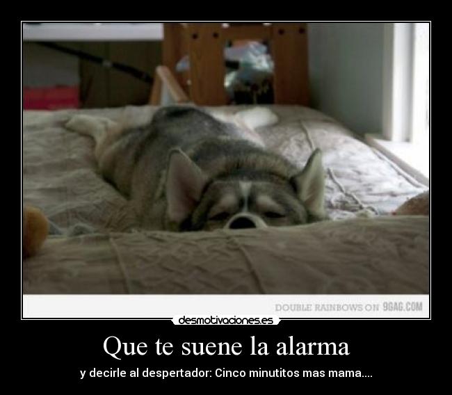Que te suene la alarma - 