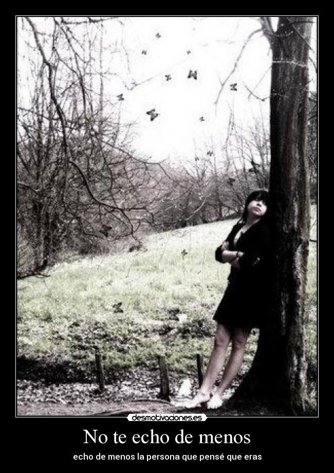 No te echo de menos - echo de menos la persona que pensé que eras