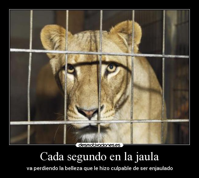 carteles risuex desmotivaciones