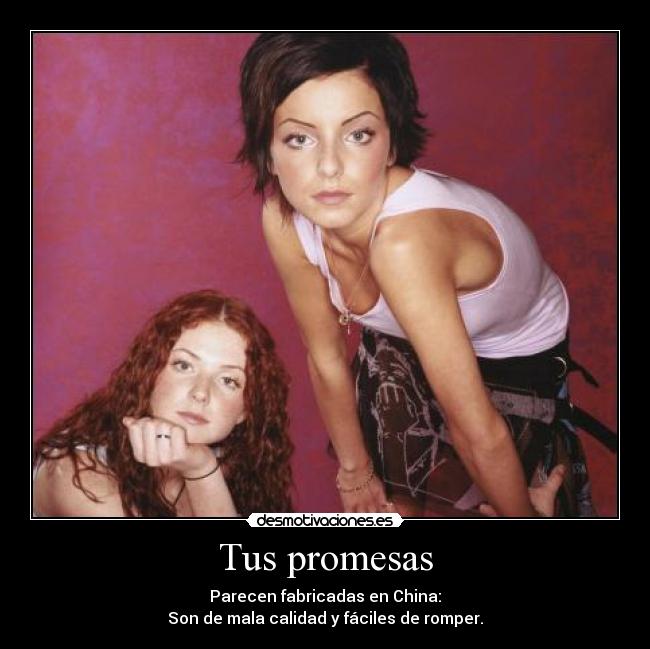 carteles promesas violeta papapitufo desmotivaciones