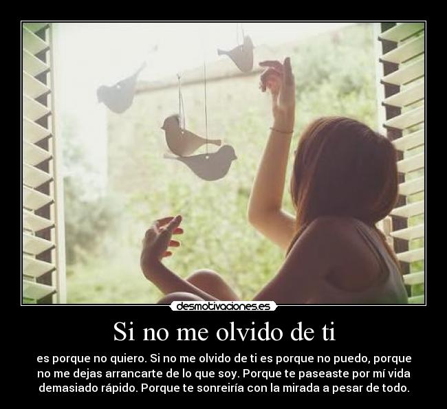 Si no me olvido de ti - es porque no quiero. Si no me olvido de ti es porque no puedo, porque
no me dejas arrancarte de lo que soy. Porque te paseaste por mí vida
demasiado rápido. Porque te sonreiría con la mirada a pesar de todo.
