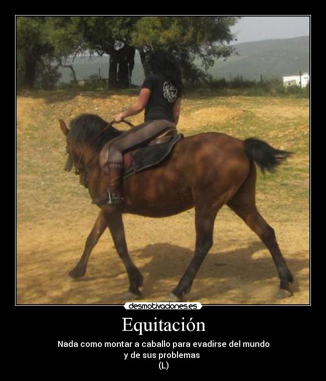 Equitación -