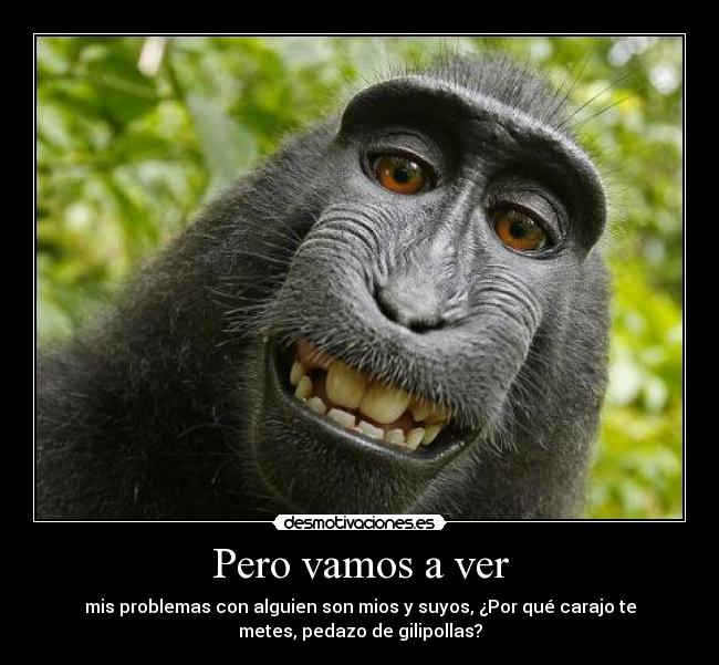 Pero vamos a ver - mis problemas con alguien son mios y suyos, ¿Por qué carajo te
metes, pedazo de gilipollas?