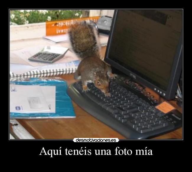 carteles las ardillas molan desmotivaciones