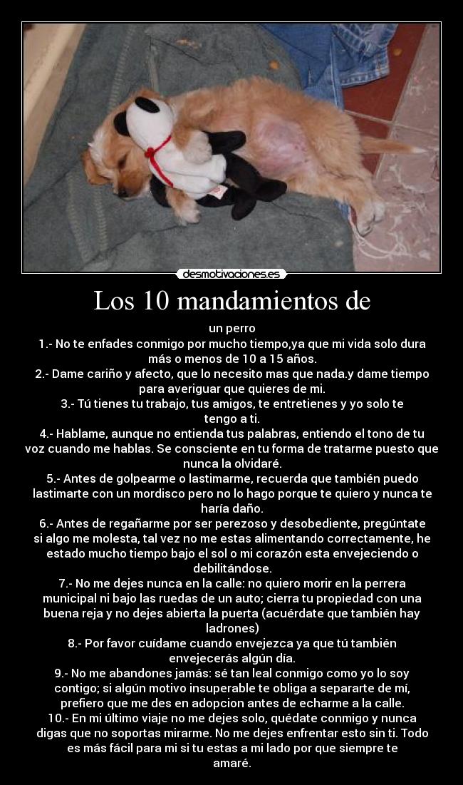 Los 10 mandamientos de - 