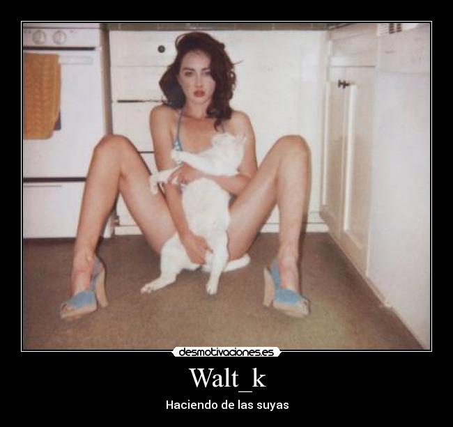 carteles waltk desmotivaciones